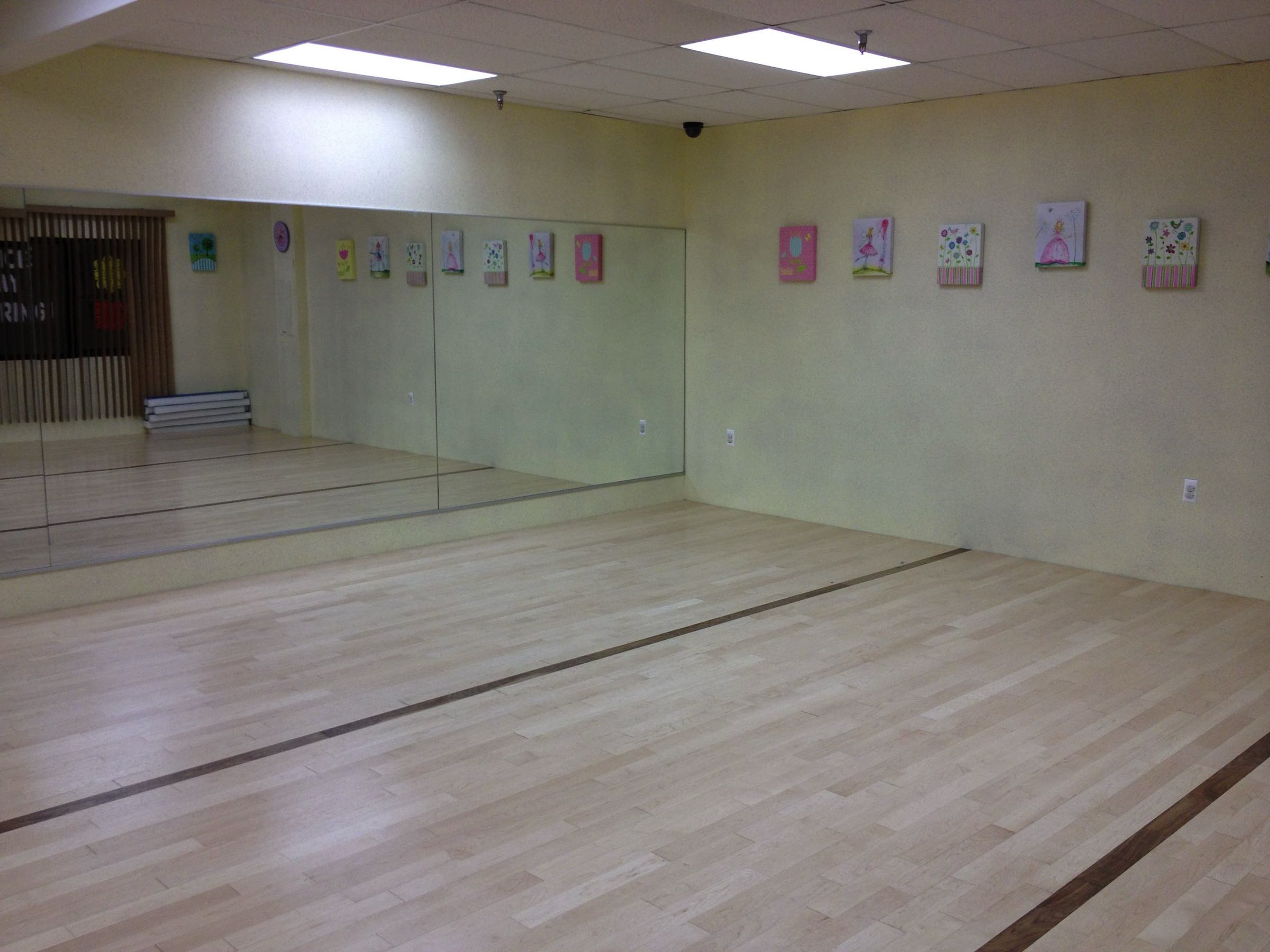 The Dance Academy of North Jersey